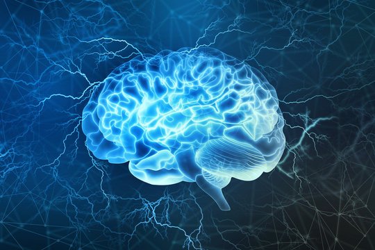 Neural Network Brain Visualization